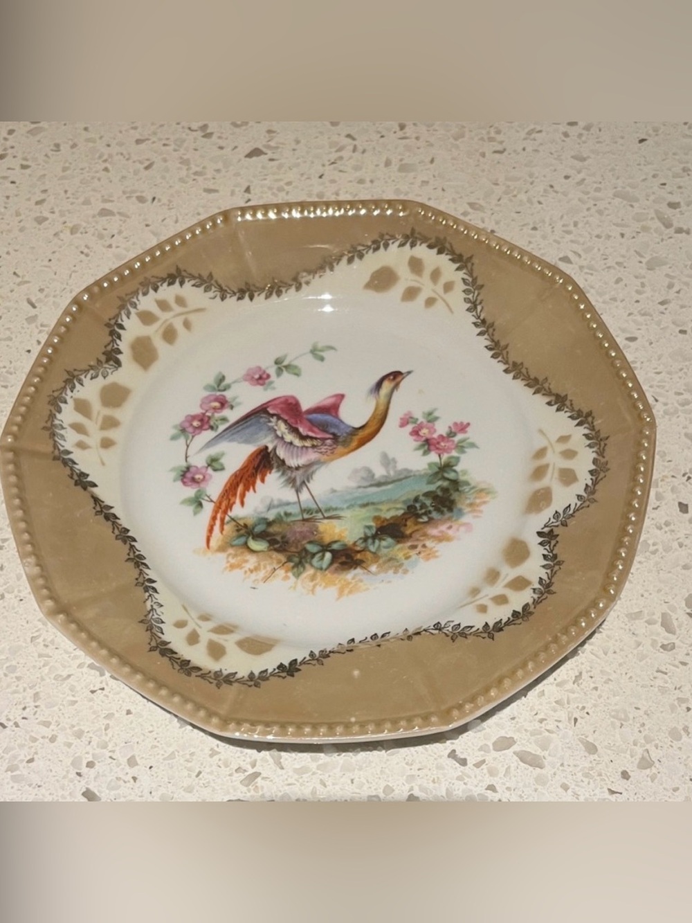 Vintage Decorative Porcelain Plate with Colorful Bird Motif
